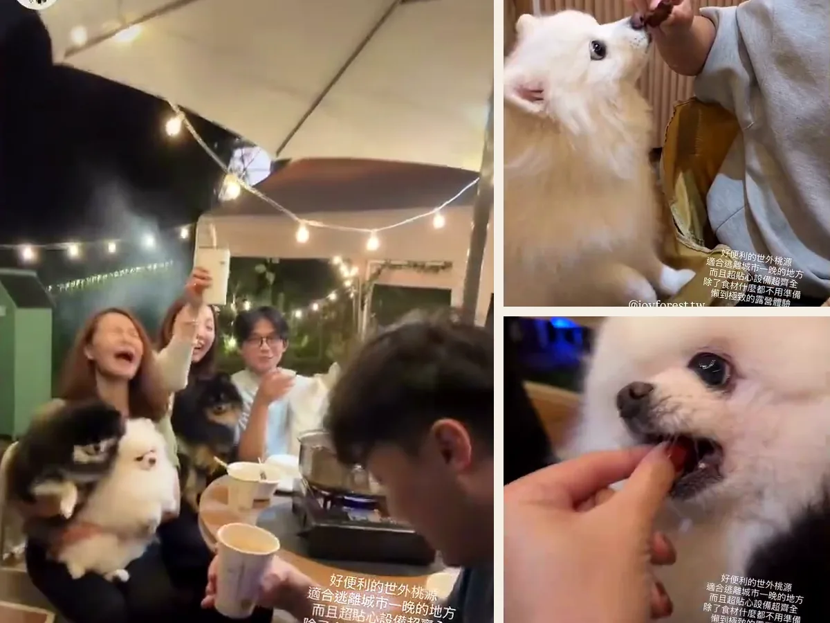 朋友與多隻博美犬圍坐戶外餐桌，搭配毛孩互動畫面