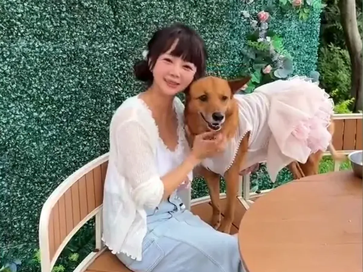 穿白色洋裝的女孩抱著棕色狗狗坐在森林花牆前